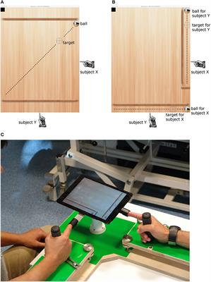 Subjective Evaluation of Performance in a Collaborative Task Is Better Predicted From Autonomic Response Than From True Achievements